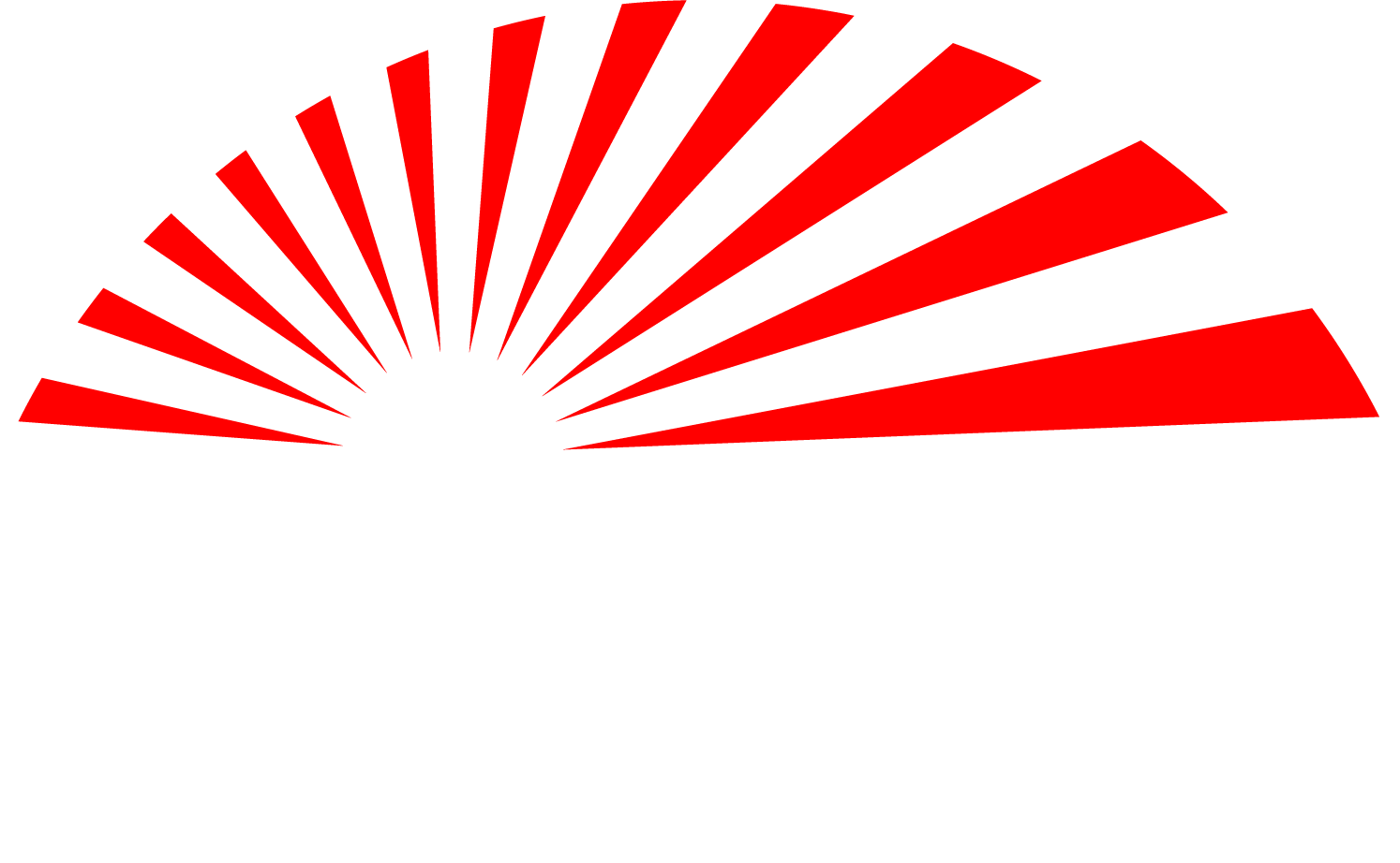 Ronin Electric Logo